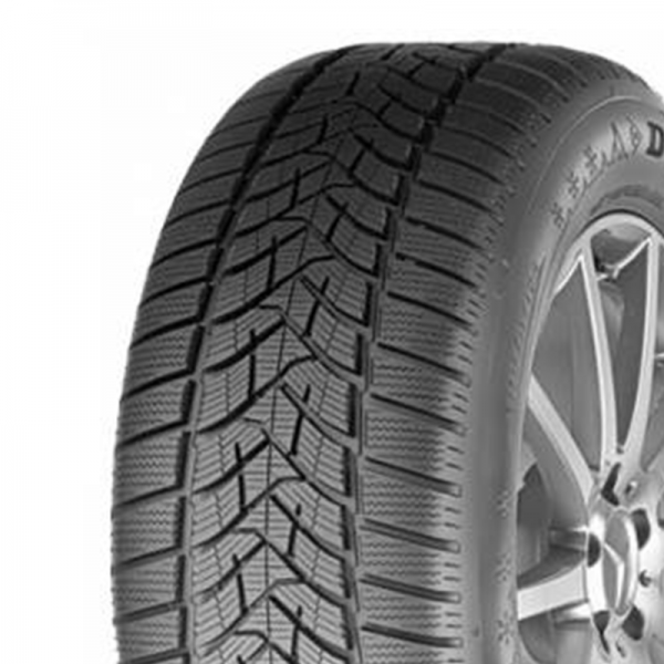255/55R20 Winter Sport 5 SUV 110 V XL
