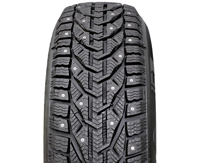 Taurus ICE 205/65 R15 99T XL